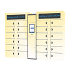 Winnsen Electronic Refrigerated Storage Locker 24Hours Self Service Smart Cabinet