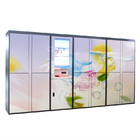 Electronic Winnsen Laundry Locker Logistic Parcel Delivery Intelligent