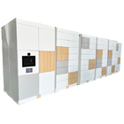 Shopping Mall Staduim Parcel Delivery Locker 60Hz 240V With Big Screen