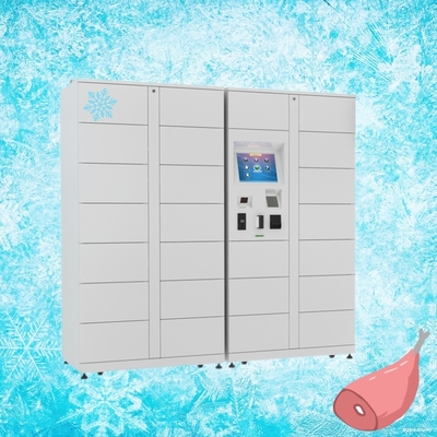Market Goods Refrigerated Locker with Multi Languages and Wi-Fi Module